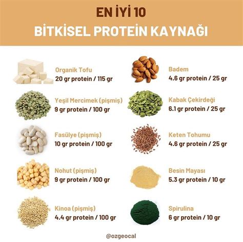 protein değeri yüksek tahıllar